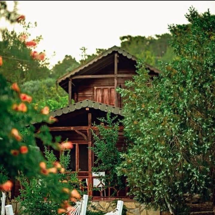 Olympos Talara By Arzum Hotel Kumluca Екстериор снимка