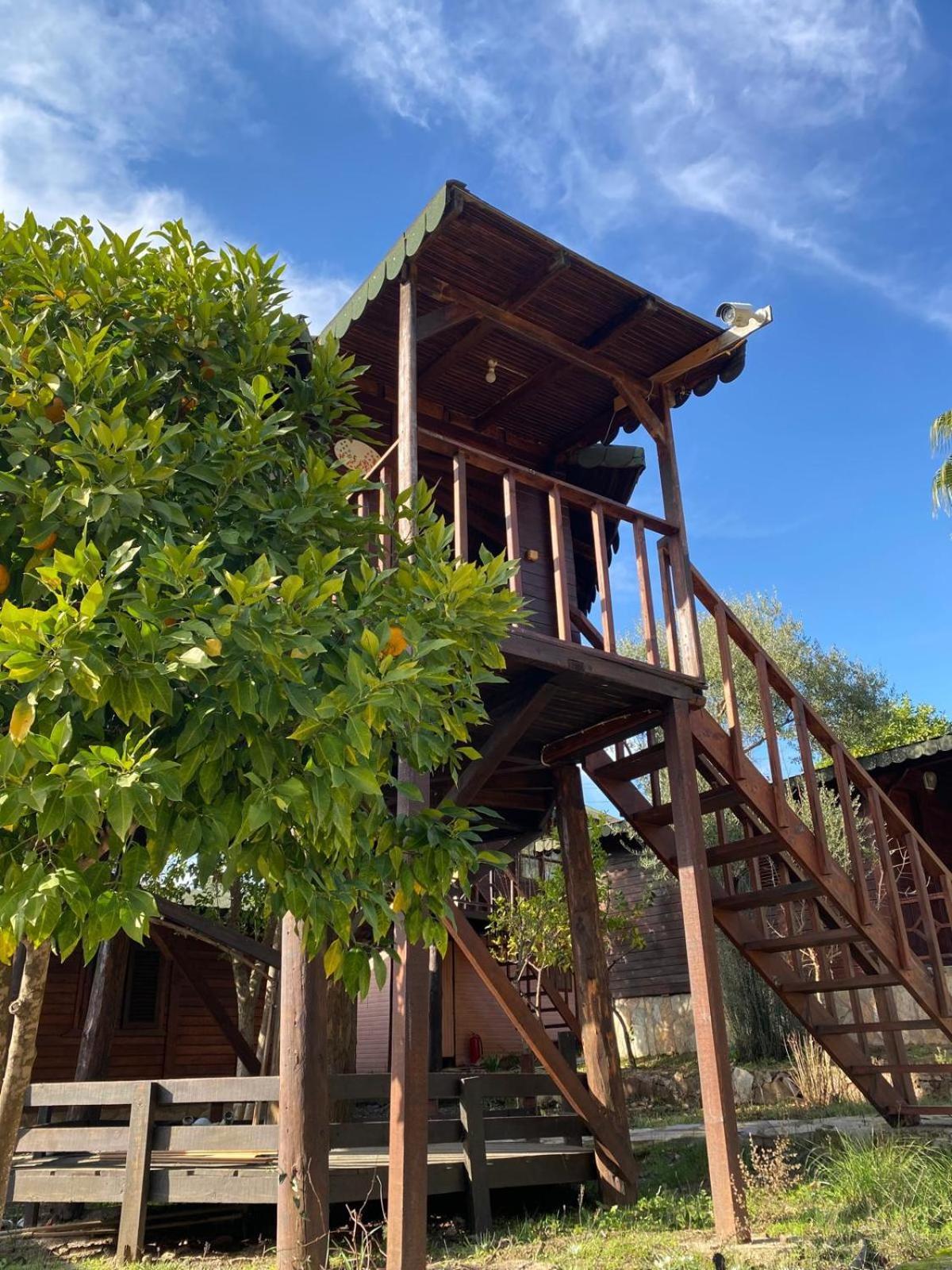 Olympos Talara By Arzum Hotel Kumluca Екстериор снимка