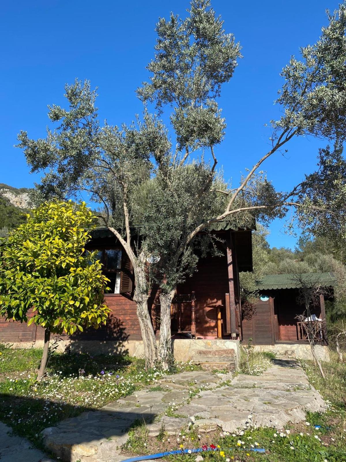 Olympos Talara By Arzum Hotel Kumluca Екстериор снимка